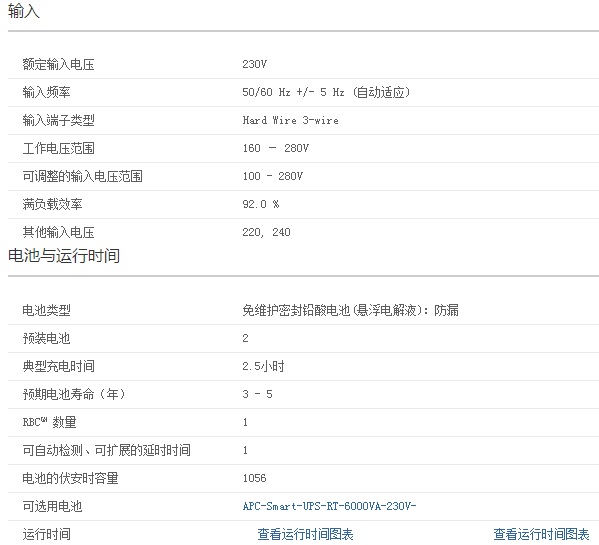 APC SURT6000UXICH UPS电源