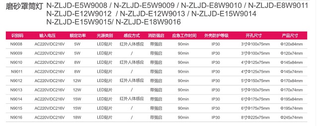 拿斯特磨砂罩筒灯-集电自控系列光世界