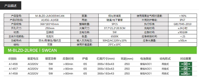 拿斯特吊挂式双面IP65防水型消防应急标志灯-自电自控系列飞普利斯